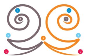Double-spirale-numerologie-creative thème numérologique double spirale de vie